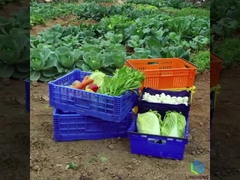 27L হালকা ওজনের ভাঁজ ক্রেট বক্স সবজি ফলের টার্নওভার জাল ক্রেট হ্যান্ডেল সহ